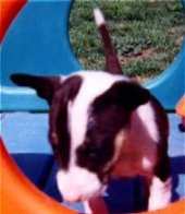 Image of frstphoto.jpg