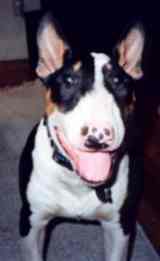Image of smiling.jpg
